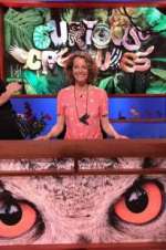 Watch Curious Creatures Goojara