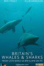 Watch Britain's Whales and Sharks Goojara