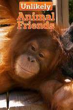 Watch Unlikely Animal Friends Goojara
