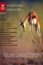 Watch Nature's Greatest Dancers Goojara