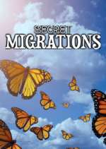 Watch Secret Migrations Goojara