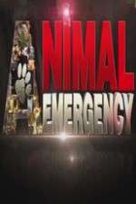 Watch Animal Emergency Goojara