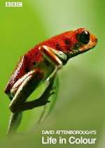 Watch Attenborough's Life in Colour Goojara