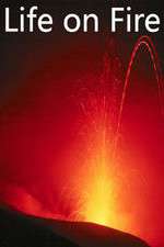 Watch Life on Fire Goojara