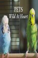 Watch Pets - Wild at Heart Goojara