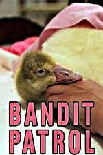 Watch Bandit Patrol Goojara