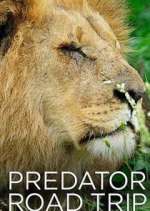 Watch Predator Road Trip Goojara