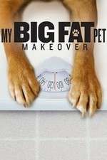 Watch My Big Fat Pet Makeover Goojara