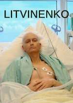 Watch Litvinenko Goojara