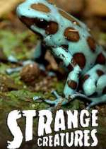 Watch Strange Creatures Goojara