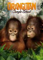 Watch Orangutan Jungle School Goojara