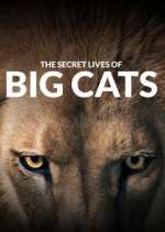 Watch The Secret Lives of Big Cats Goojara