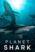 Watch Planet Shark Goojara