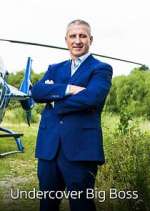 Watch Undercover Big Boss Goojara