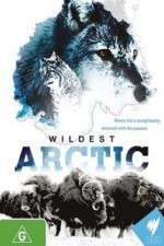 Watch Wildest Arctic Goojara