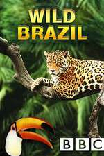 Watch Wild Brazil Goojara