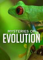 Watch Mysteries of Evolution Goojara