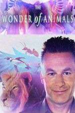 Watch The Wonder of Animals Goojara