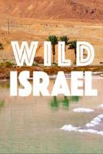 Watch Wild Israel Goojara