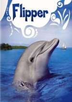 Watch Flipper Goojara