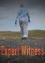 Watch Expert Witness Goojara