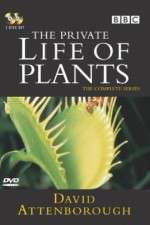 Watch The Private Life of Plants Goojara