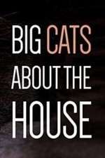 Watch Big Cats About the House Goojara