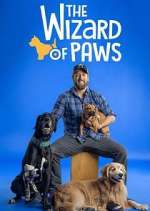 Watch The Wizard of Paws Goojara