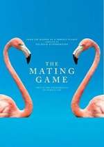 Watch The Mating Game Goojara