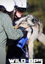 Watch Wild Ops Goojara