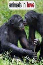 Watch Animals in Love Goojara