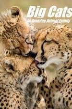 Watch Big Cats: An Amazing Animal Family Goojara