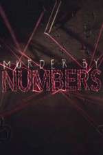 Watch Murder by Numbers Goojara
