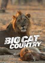 Watch Big Cat Country Goojara