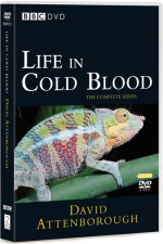 Watch Life in Cold Blood Goojara