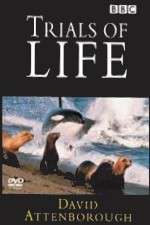Watch The Trials of Life Goojara