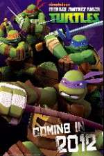 Watch Teenage Mutant Ninja Turtles Goojara