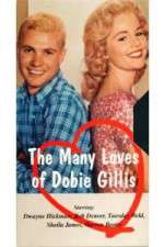 Watch The Many Loves of Dobie Gillis Goojara