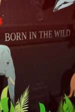 Watch Born In The Wild Goojara