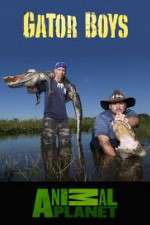 Watch Gator Boys Goojara