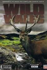 Watch Wild Wales Goojara