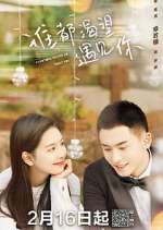 Watch Everyone Wants to Meet You Goojara