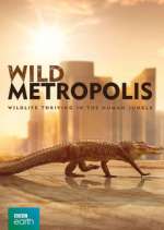 Watch Wild Metropolis Goojara