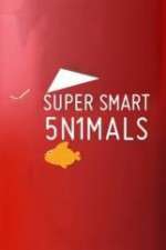 Watch Super Smart Animals Goojara