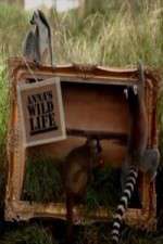 Watch Anna's Wild Life Goojara