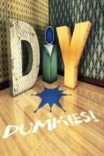Watch DIY Dummies Goojara