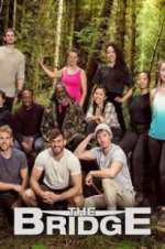 Watch The Bridge Goojara