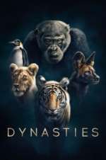 Watch Dynasties Goojara