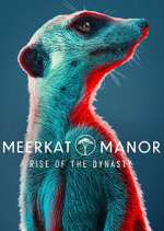 Watch Meerkat Manor: Rise of the Dynasty Goojara