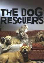 Watch The Dog Rescuers with Alan Davies Goojara